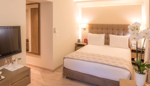 Classic Room, 1 Queen Bed
