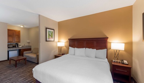Executive Room, 1 King Bed with Sofa bed, Non Smoking, Refrigerator & Microwave (with Sofabed)