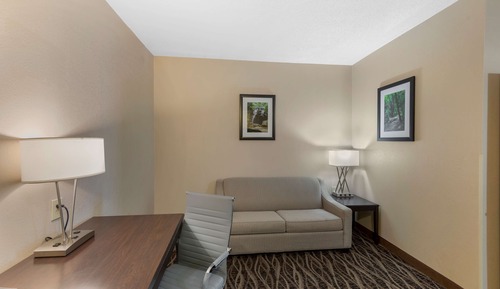 Standard Room, 1 King Bed, Non Smoking, Refrigerator & Microwave