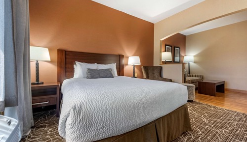 Suite, 1 Queen Bed, Accessible, Refrigerator & Microwave (with Sofabed)