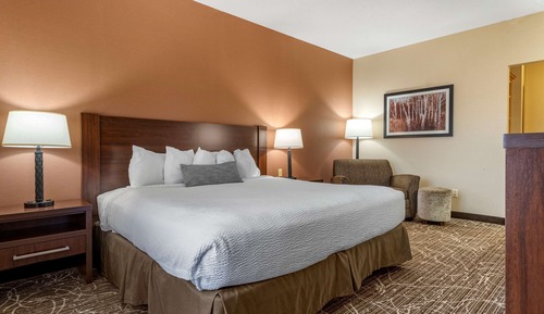 Standard Room, 1 King Bed, Non Smoking, Microwave