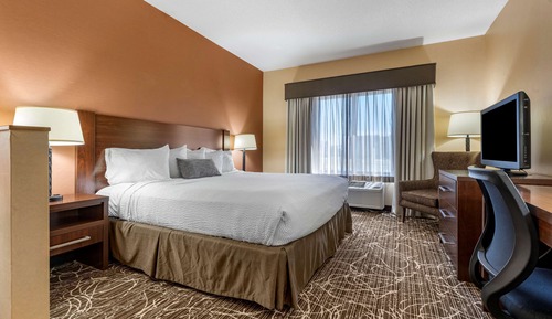Suite, 1 King Bed, Non Smoking, Microwave (with Sofabed)