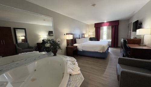 Suite (King Bed Non-Smoking Jacuzzi Tub)