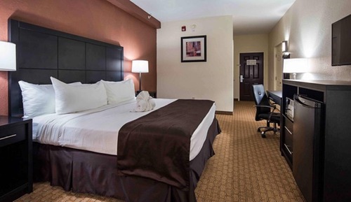 Standard Room, 1 King Bed, Non Smoking, Refrigerator & Microwave
