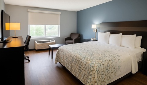 Standard Room, 1 King Bed, Non Smoking (Microwave & Refrigerator)