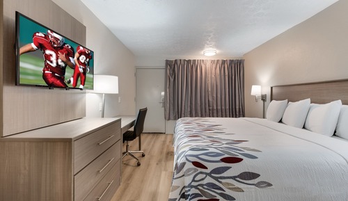 Standard Room, 1 King Bed, Accessible (Roll-In Shower/Smoke Free)