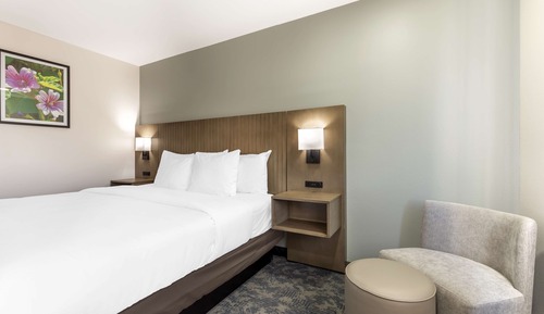 Standard Room, 1 King Bed, Non Smoking