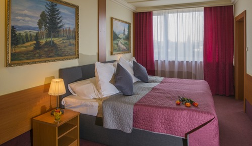 Business Apartment