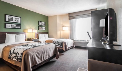 Standard Double Room, 2 Double Beds, Non Smoking