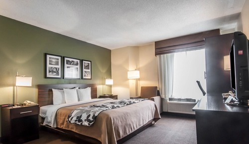 Standard Room, 1 King Bed, Non Smoking