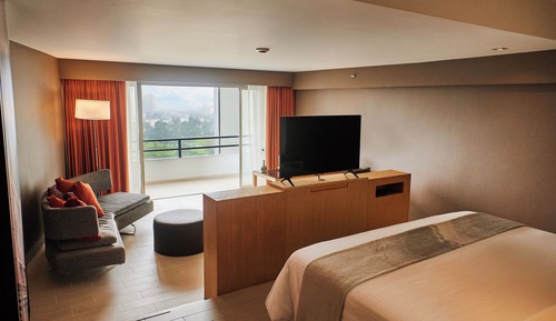 Suite, 1 King Bed