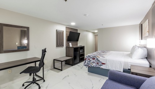 Deluxe Room, 1 King Bed, Roll-in Shower, Non Smoking (Disability Access)