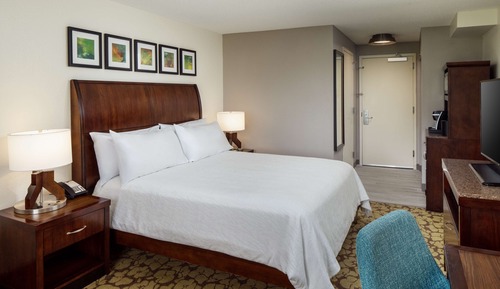 Room, 1 King Bed