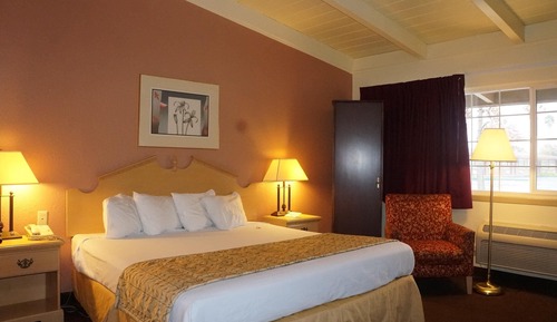 Room, 1 King Bed, Non Smoking