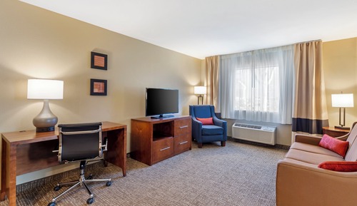 Suite, 1 King Bed with Sofa bed, Non Smoking