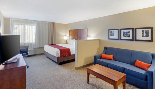 Suite, 1 King Bed with Sofa bed, Accessible, Non Smoking