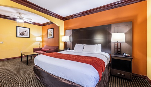 Suite, 1 King Bed with Sofa bed, Accessible, Non Smoking