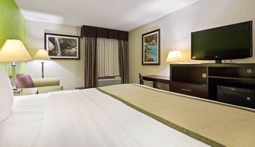 Standard Room, 1 King Bed, Smoking, Refrigerator