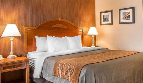 Standard Room, 1 King Bed, Non Smoking