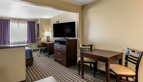 Business Suite, 1 King Bed with Sofa bed, Refrigerator & Microwave