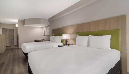 Studio Suite, Multiple Beds, Non Smoking