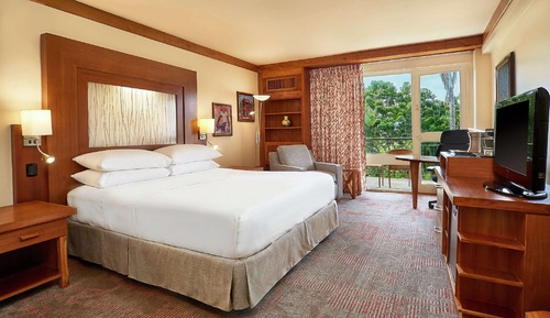 Room, 1 King Bed, Garden View