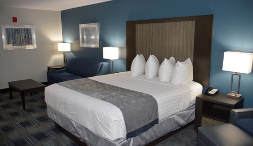 Standard Room, 1 King Bed, Non Smoking, Microwave (with Sofabed)