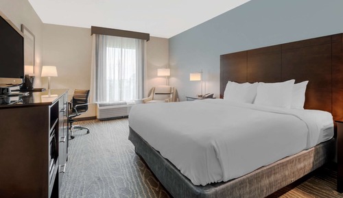 Standard Room, 1 King Bed, Non Smoking