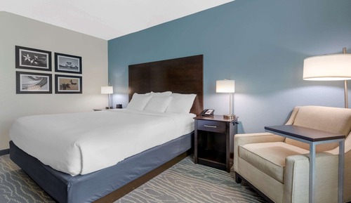Room, 1 King Bed, Accessible, Non Smoking