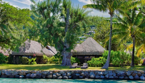 Superior Bungalow, 1 King Bed, Ocean View