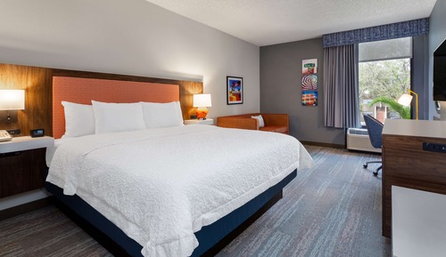 Standard Room, 1 King Bed, Accessible, Non Smoking