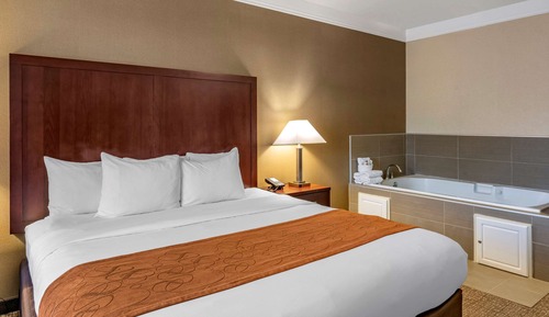 Suite, 1 King Bed with Sofa bed, Accessible, Non Smoking