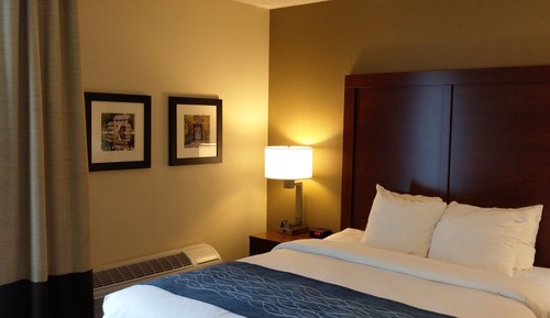 Standard Room, 1 King Bed with Sofa bed, Accessible, Non Smoking (Roll In Shower)