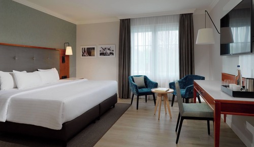 Room, 1 King Bed