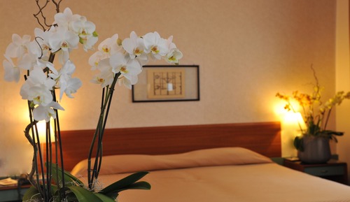 Double Room Single Use