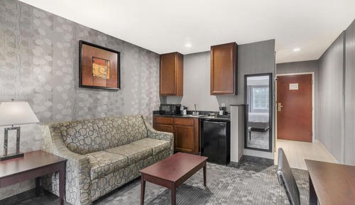 Standard Room, 1 King Bed, Non Smoking, Refrigerator & Microwave (with Sofabed)