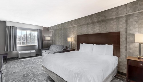 Suite, Multiple Beds, Non Smoking, Refrigerator & Microwave (with Sofabed)