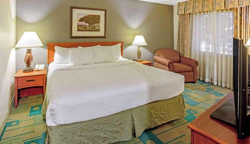 Deluxe Suite, 1 Bedroom, Non Smoking (1 King Bed)