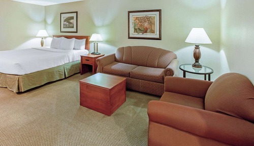 Studio Suite, 1 King Bed, Accessible, Non Smoking