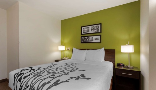 Room, 1 Queen Bed, Accessible, Non Smoking