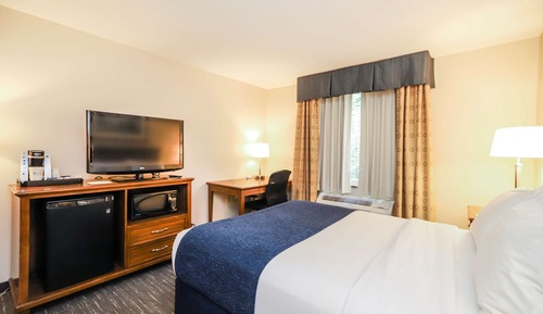 Standard Room, 1 King Bed, Non Smoking, Refrigerator & Microwave