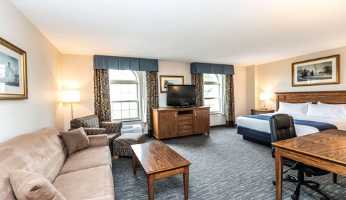 Standard Room, 1 King Bed, Non Smoking, Jetted Tub (with Sofabed)