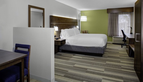 Suite, 1 King Bed with Sofa bed