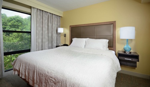 Suite, 1 King Bed, Non Smoking (Shower Only)