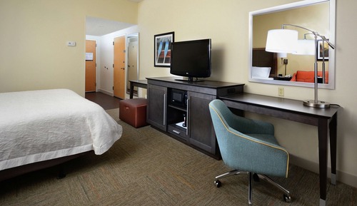 Room, 1 King Bed, Accessible (Roll-in Shower)