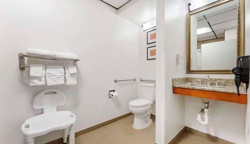 Room, 1 King Bed, Accessible, Non Smoking