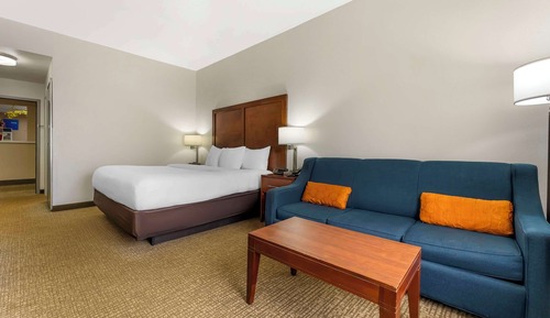  1 King Bed, Suite, Nonsmoking