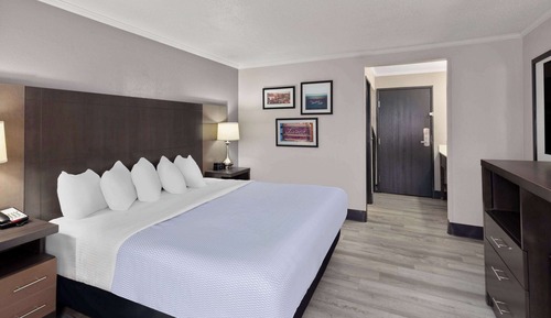 Room, 1 King Bed, Non Smoking