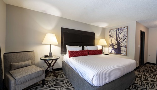 Standard Room, 1 King Bed, Non Smoking, Refrigerator & Microwave
