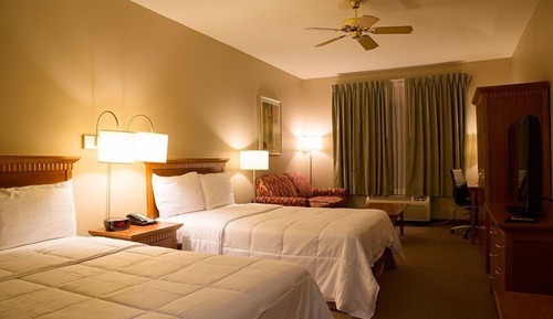 Executive Suite, 2 Double Beds